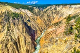 Photos/Images de Yellowstone National Park - Grand Canyon of the Yellowstone Area Photos/Images de Yellowstone National Park - Grand Canyon of the Yellowstone Area