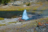 Artesia Geyser