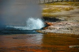 Steady Geyser