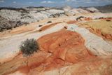 Yellow Rock