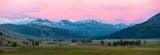 Lamar Valley