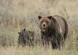 Ours