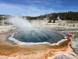 Crested Pool