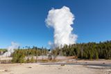 Photos/Images de Yellowstone National Park - Norris Area