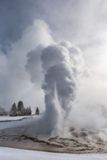 Sawmill Geyser