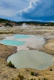 Colloidal Pool