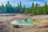 Mystic Spring