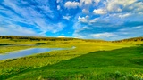 Hayden Valley