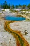 Lakeside Spring