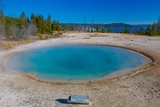 Blue Funnel Spring
