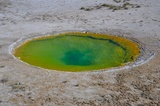 Ephedra Spring