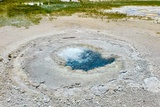 Beach Spring