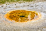Economic Geyser