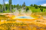 Square Spring
