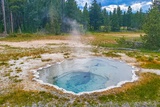 Shield Spring
