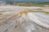 Sponge Geyser