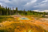 Square Spring