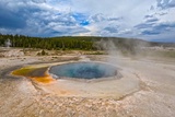 Crested Pool