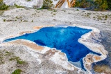 Blue Star Spring