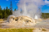Grotto Geyser & Rocket Geyser
