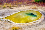 Fissure Spring