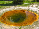 Rubber Pool