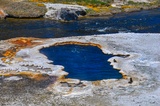 South Scalloped Spring