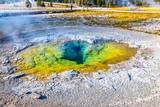 Oval Spring