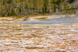 Oblong Geyser