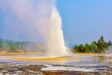 Daisy Geyser