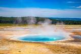Celestine Pool