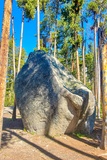 Glacial Boulder