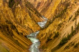 Brink of the Lower Falls