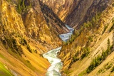 Brink of the Lower Falls