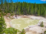 Turbulent Pool