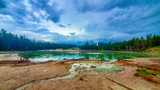 Sour Lake