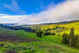 Mount Washburn Trail