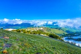 Mount Washburn Trail