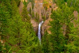 Photos/Images de Yellowstone National Park - Tower-Roosevelt Area