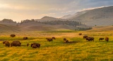 Lamar Valley
