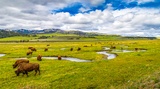 Lamar Valley