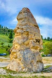 Liberty Cap