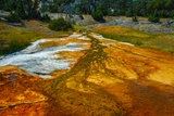 Grassy Spring