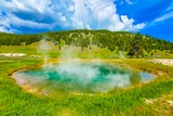Egeria Spring