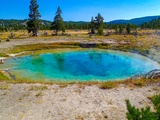 Tire Pool