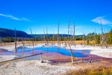 Opalescent Pool