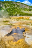 Jagged Spring