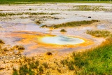 White Sand Spring
