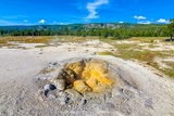 Shell Spring