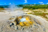 Shell Spring
